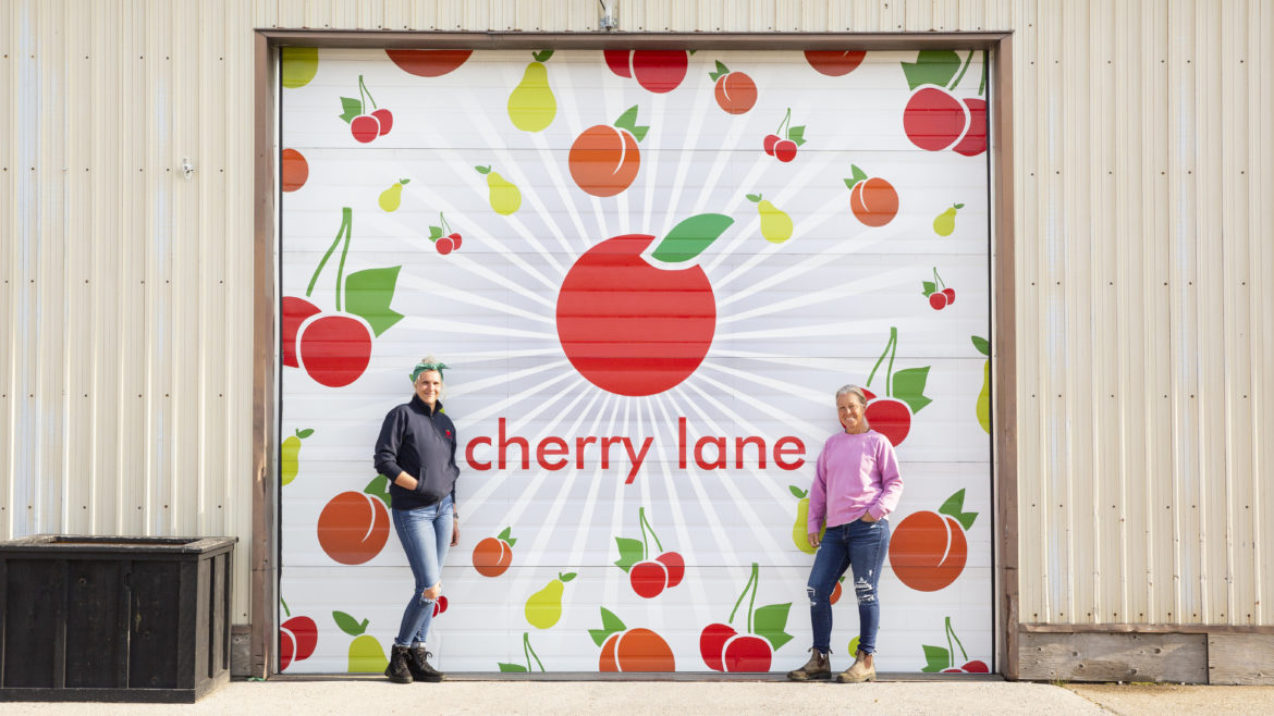 Cherry Lane